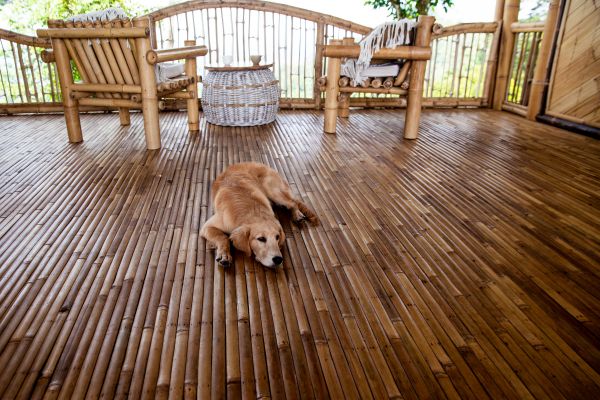 Bamboo Floor Resurfacing